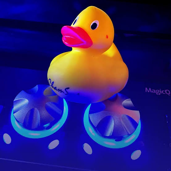 The Theatre Duck